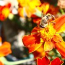 경태민박 이미지