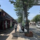 경북일고등학교 건너편 이미지