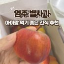 영주 별사과 아기랑 먹기 좋은 간식