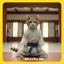 해피행정사사무소 이미지