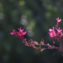 가족여행민박 이미지