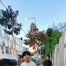 핑크베트남노래방