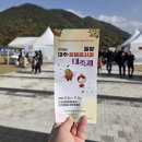포항시민 민속장기대회 | 밀양 축제 2025 밀양대추얼음골사과대축제 다채로운 행사 생생한 현장후기!