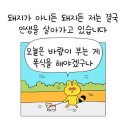 찌개달인 이미지
