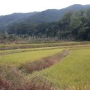 신니면사무소 이미지