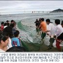 '어방(漁坊)에 가보자!' 제11회 부산 광안리 어방축제 이미지