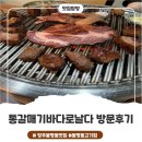 통갈매기바다로날다