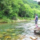 골드캐슬펜션 이미지