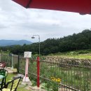 하대동154 | [경남 진주] 핫플 카페 투어 후기