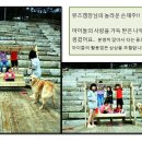 뮤즈캠핑장 이미지