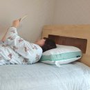 평화컴퓨터세탁 | 베드기어 밸런스 기능성 베개 거북목 목이편한 배게