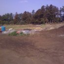 소금밭 교차로 4 이미지