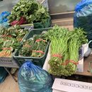 도매상회 이미지