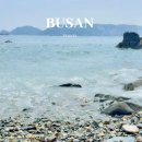 해운대로 383번길7 | 떠난 여자혼자국내여행! 해운대놀거리부터 영도놀거리 &amp; 해운대맛집 &amp; 해운대카페 &amp; 부산수국명소 총정리