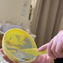 키라 | 신사동 왁싱 잘하는 곳 찾는다면? 가로수길 키라 왁싱 브라질리언 재방문 후기