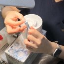 에코치과기공소 이미지