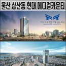 현대메디컬 이미지