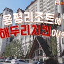 해두리치킨 이미지
