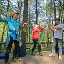 치유의숲 이미지