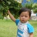 아인농장 이미지