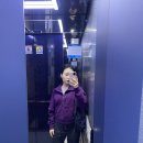 10월 27일까지. 입맛이 싹돌아 엥겔지수 높아진 가을날 일상 🍄