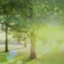 숲결 1,2 이미지