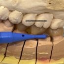 음성자연치과의원 이미지