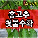 으뜸농장 1 이미지