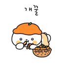 제주동물메디컬센터 이미지