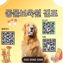 서구-7 | 인천 서구 애견호텔 추천 기준 7가지｜후기 보기 전에 먼저 체크하세요