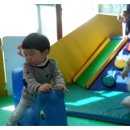꽃과함께 이미지