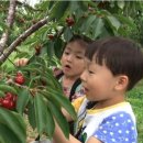 스마일교육농장