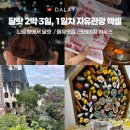 리엔약국 | 달랏 2박 3일 자유여행 코스 1일차 엑셀 + 볼거리