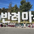 동물은내친구 경인저널