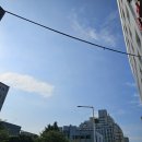 매머드익스프레스 안산자유센터점 | 매머드커피 최애메뉴 바닐라라떼 일상♥ 매머드 안산자유센터점