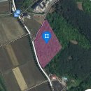 금알공인중개사사무소 이미지