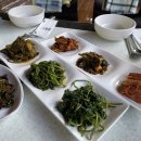 거북이민박 이미지