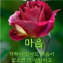 씽긋 이미지
