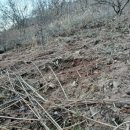 동처농장 이미지