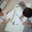 숲속의 돌담 이미지