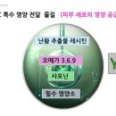 채이은화장품