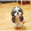 거참 이미지