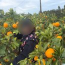신희농장 네이버블로그