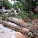 가연길 이미지
