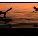 야베스의 집 이미지