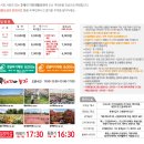(제주도 여행)휴애리자연생활공원 휴애리 유채꽃축제 애견동반 가능한 서귀포 여행지 휴애리 입장료...