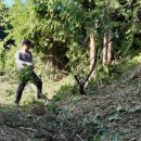 사천고등학교 이미지