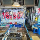 나성동골목(초장집 앞) | 속초 동명항 회센터 가격 어종 초장집 직접 먹어본 후기