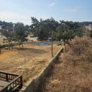 태안칸 | 내 돈 내고 묵어도 만족할 충남 태안 가성비 숙소 TOP5