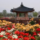 곡성-129 이미지